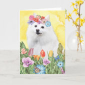 Amerikaanse Eskimo Bloemen Spring Kaart (Gele Bloem)