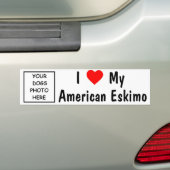 Amerikaanse Eskimo Bumpersticker (Op auto)