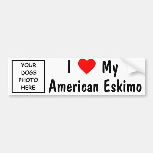 Amerikaanse Eskimo Bumpersticker (Voorkant)