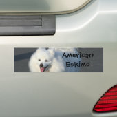 Amerikaanse Eskimo Bumpersticker (Op auto)