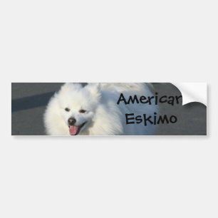Amerikaanse Eskimo Bumpersticker