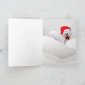 Amerikaanse Eskimo Christmas Star Kaarten (Binnen)