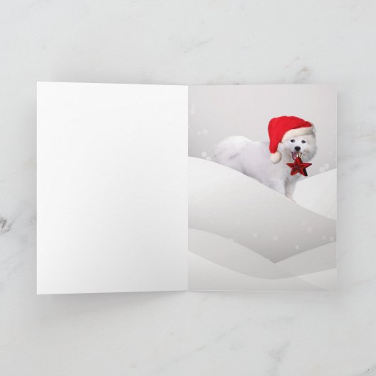 Amerikaanse Eskimo Christmas Star Kaarten (Binnen)