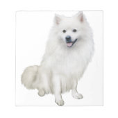 Amerikaanse Eskimo Dog (A) Notitieblok (Voorkant)