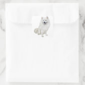 Amerikaanse Eskimo Dog (A) Vierkante Sticker (Tas)