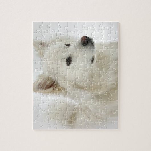 Amerikaanse Eskimo Dog Art Legpuzzel (Verticaal)