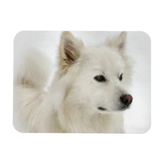 Amerikaanse Eskimo Dog Art Magneet (Horizontaal)