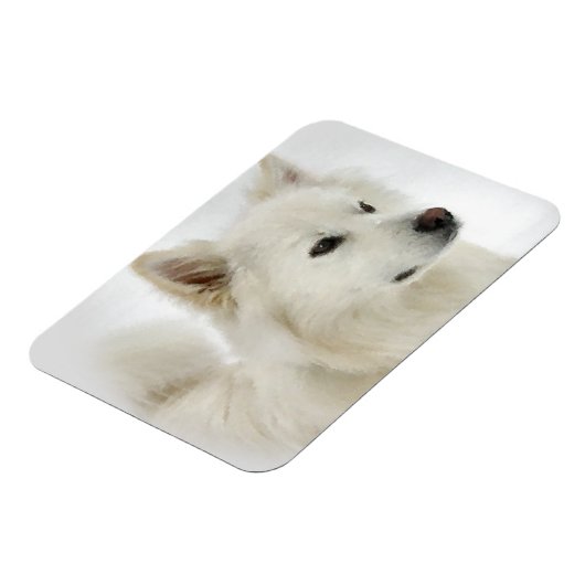 Amerikaanse Eskimo Dog Art Magneet (Linkerzijde)