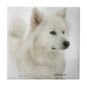 Amerikaanse Eskimo Dog Art Tegeltje
