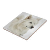 Amerikaanse Eskimo Dog Art Tegeltje (Zijkant)