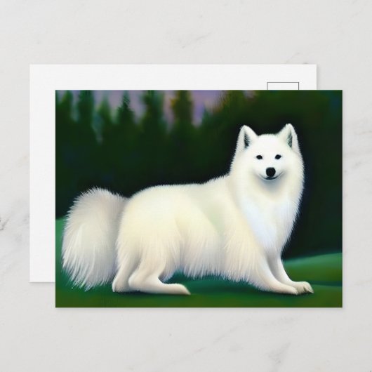 Amerikaanse Eskimo Dog Briefkaart (Voorkant / Achterkant)