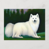 Amerikaanse Eskimo Dog Briefkaart (Voorkant)