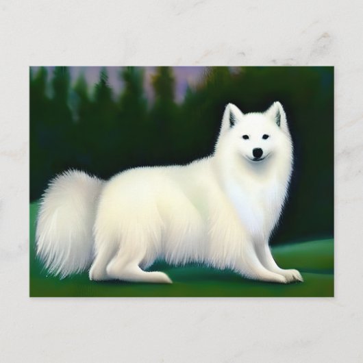 Amerikaanse Eskimo Dog Briefkaart (Voorkant)