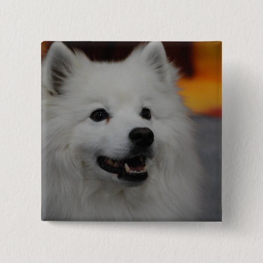 Amerikaanse Eskimo Dog Button (Voorkant)