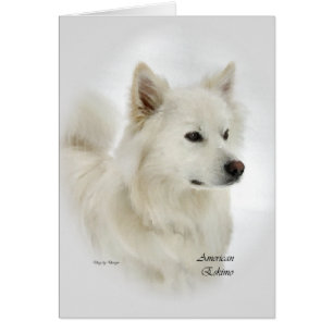 Amerikaanse Eskimo Dog Gifts