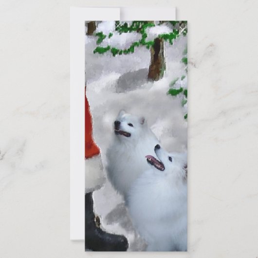 Amerikaanse Eskimo Dog Kerstmis (Voorkant)