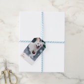 Amerikaanse Eskimo Dog Kerstmis Cadeaulabel (Met Touw)