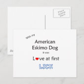 Amerikaanse Eskimo Dog Lick Design Briefkaart (Voorkant / Achterkant)