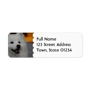 Amerikaanse Eskimo Dog-maillabels Etiket