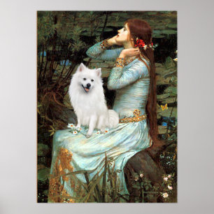 Amerikaanse Eskimo Dog - Ophelia Seed Poster