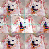 Amerikaanse Eskimo Dog Pima Cotton Fabric Stof (Delen)