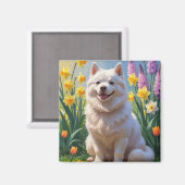 Amerikaanse Eskimo Dog Spring Bloemen Schilderen Magneet (Voorkant / Achterkant)