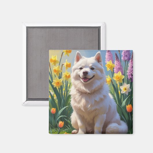 Amerikaanse Eskimo Dog Spring Bloemen Schilderen Magneet (Voorkant / Achterkant)