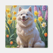 Amerikaanse Eskimo Dog Spring Bloemen Schilderen Magneet (Voorkant)