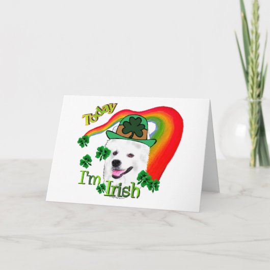 Amerikaanse Eskimo Dog St Patricks Kaart (Voorkant)