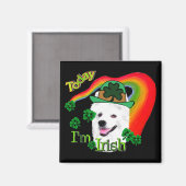 Amerikaanse Eskimo Dog St Patricks Magneet (Voorkant / Achterkant)