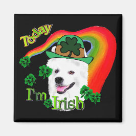 Amerikaanse Eskimo Dog St Patricks Magneet