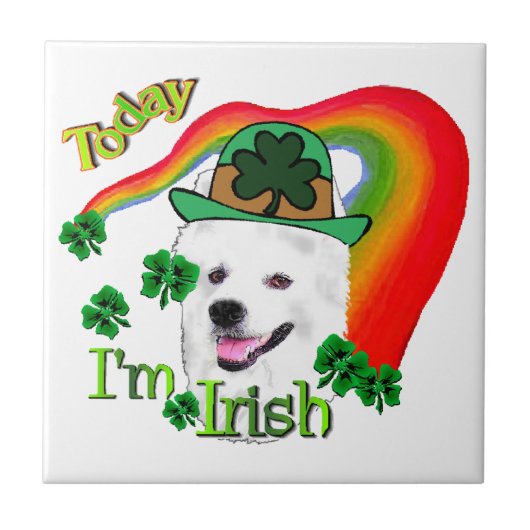 Amerikaanse Eskimo Dog St Patricks Tegeltje (Voorkant)