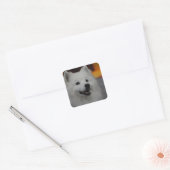 Amerikaanse Eskimo Dog Stickers (Envelop)
