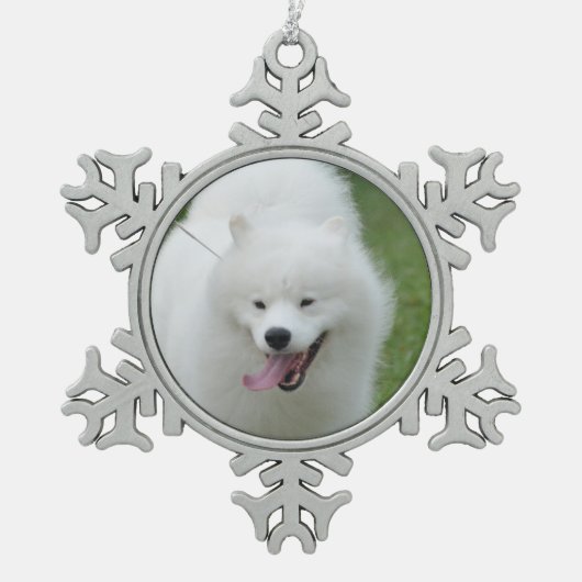 Amerikaanse Eskimo Dog Tin Sneeuwvlok Ornament (Voorkant)