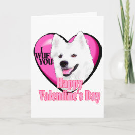 Amerikaanse Eskimo Dog Valentijnsdag Feestdagen Kaart