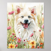 Amerikaanse Eskimo Dog Waterverf Wall Art Print (Voorkant)
