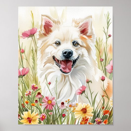 Amerikaanse Eskimo Dog Waterverf Wall Art Print (Voorkant)