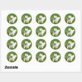 Amerikaanse eskimo - Enveloppennetjes Ronde Sticker (Vel)
