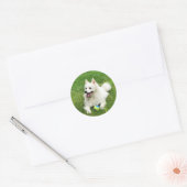 Amerikaanse eskimo - Enveloppennetjes Ronde Sticker (Envelop)