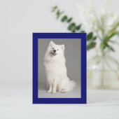 Amerikaanse Eskimo Eskie Puppy Dog Blank Briefkaar Briefkaart (Staand voorkant)