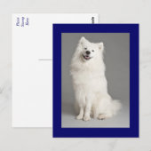 Amerikaanse Eskimo Eskie Puppy Dog Blank Briefkaar Briefkaart (Voorkant / Achterkant)