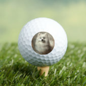 Amerikaanse Eskimo-hond Golfballen (Insitu Shirt)