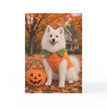 Amerikaanse Eskimo-hond Halloweenkaart
