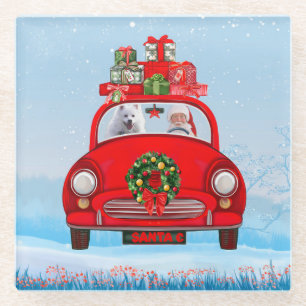 Amerikaanse eskimo-hond in auto met kerstman glazen onderzetter