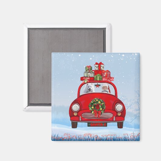Amerikaanse eskimo-hond in auto met kerstman magneet (Voorkant / Achterkant)