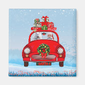 Amerikaanse eskimo-hond in auto met kerstman magneet (Voorkant)