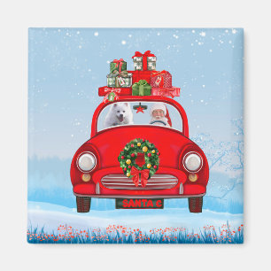 Amerikaanse eskimo-hond in auto met kerstman magneet