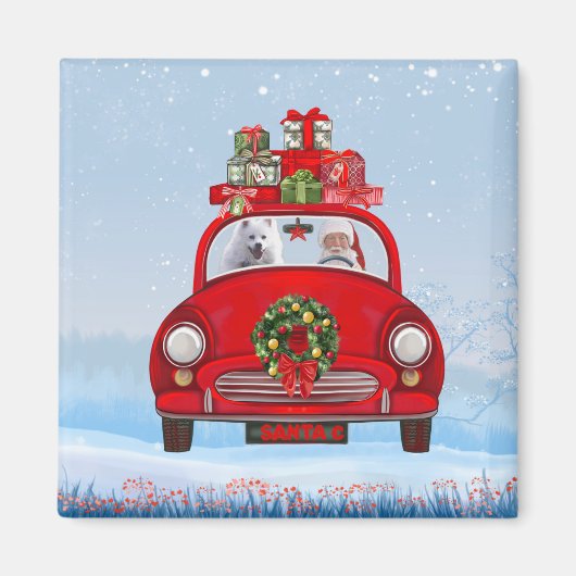 Amerikaanse eskimo-hond in auto met kerstman magneet (Voorkant)