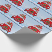 Amerikaanse eskimo-hond in auto's met kerstbedekki cadeaupapier (Hoek)