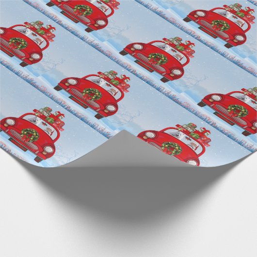 Amerikaanse eskimo-hond in auto's met kerstbedekki cadeaupapier (Hoek)
